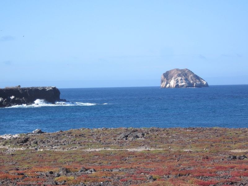 ocean